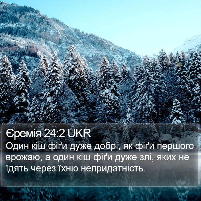 Єремія 24:2 UKR Bible Study