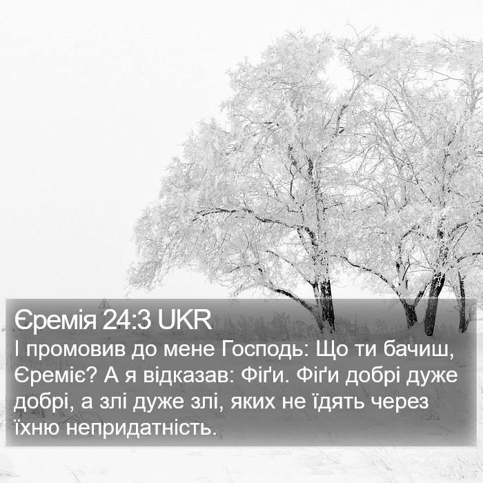 Єремія 24:3 UKR Bible Study