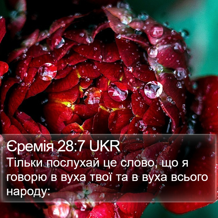 Єремія 28:7 UKR Bible Study