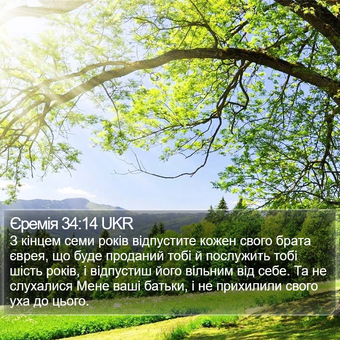 Єремія 34:14 UKR Bible Study