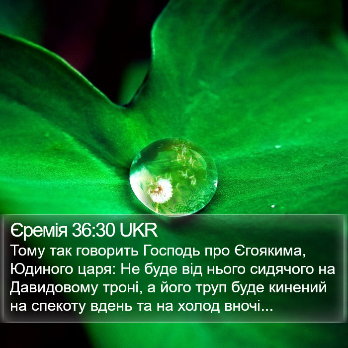 Єремія 36:30 UKR Bible Study