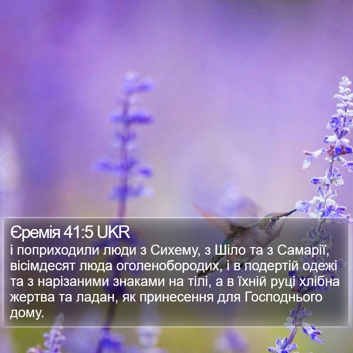 Єремія 41:5 UKR Bible Study