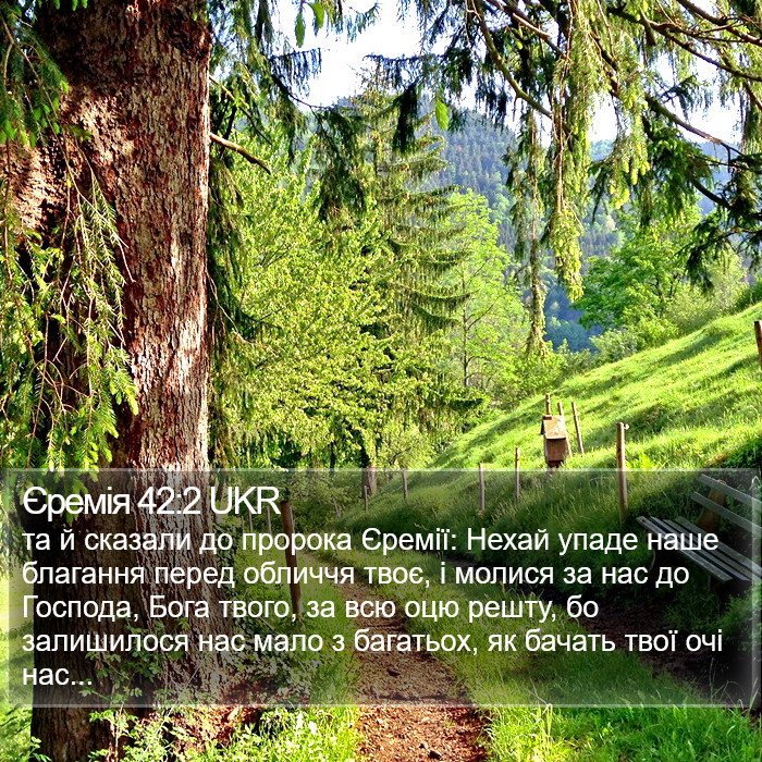 Єремія 42:2 UKR Bible Study