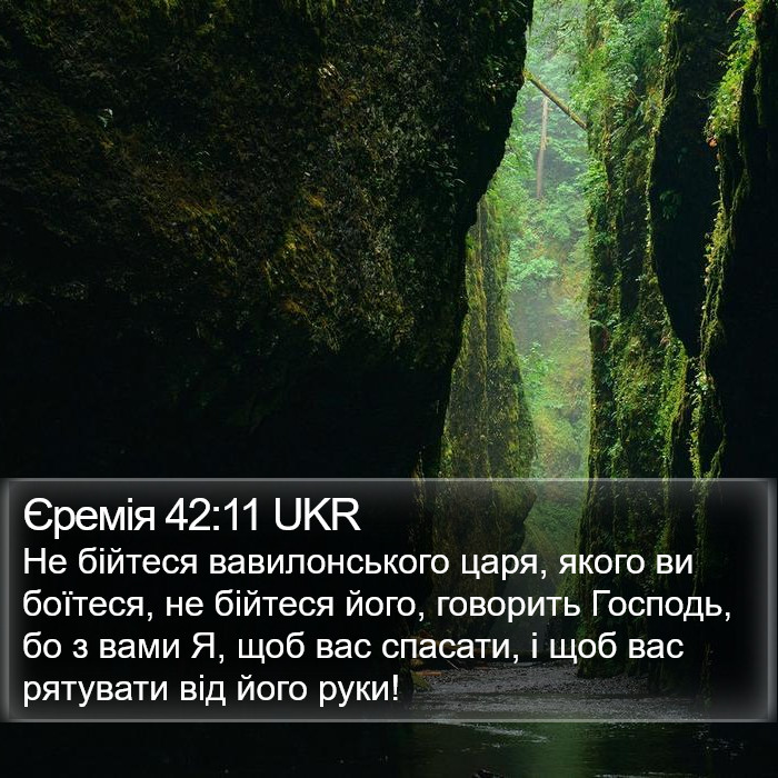 Єремія 42:11 UKR Bible Study