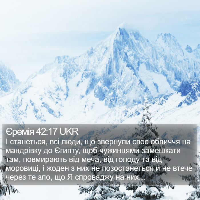 Єремія 42:17 UKR Bible Study