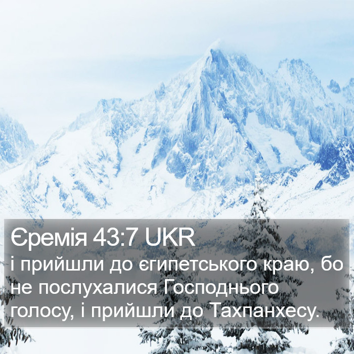 Єремія 43:7 UKR Bible Study