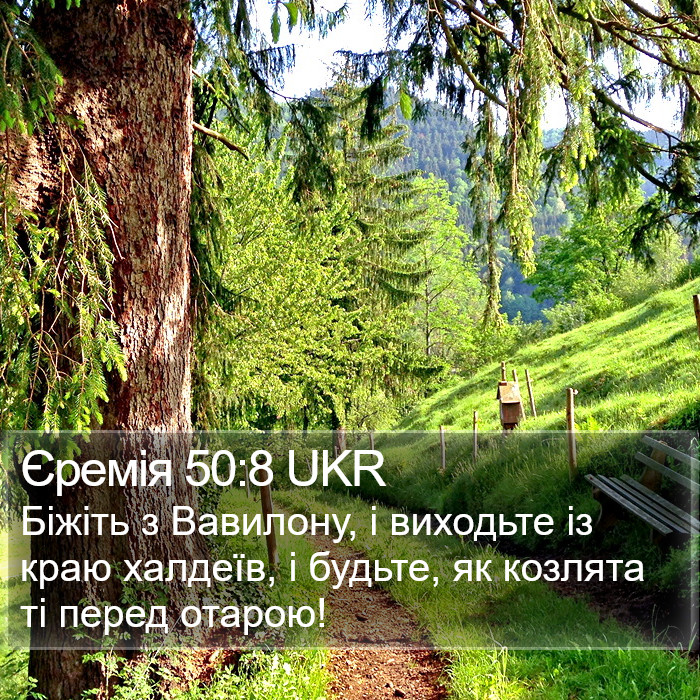 Єремія 50:8 UKR Bible Study
