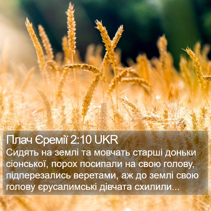 Плач Єремії 2:10 UKR Bible Study