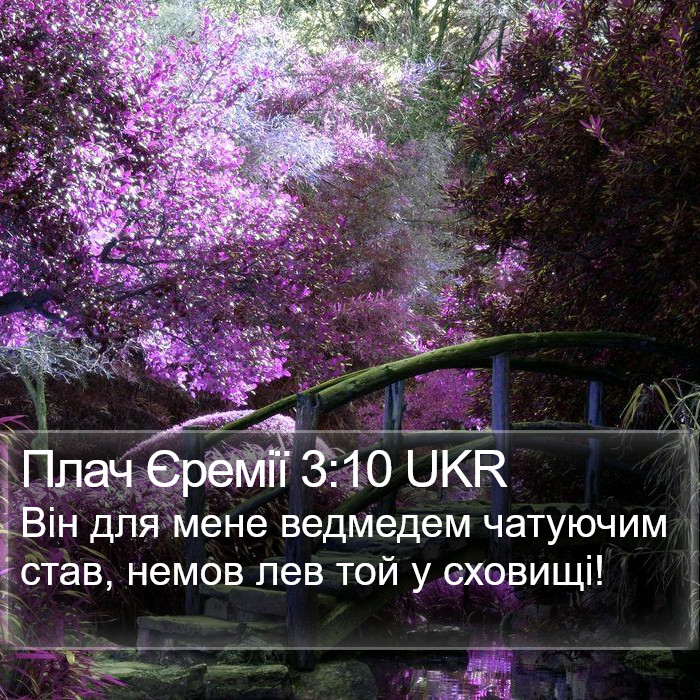 Плач Єремії 3:10 UKR Bible Study
