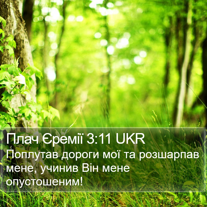 Плач Єремії 3:11 UKR Bible Study