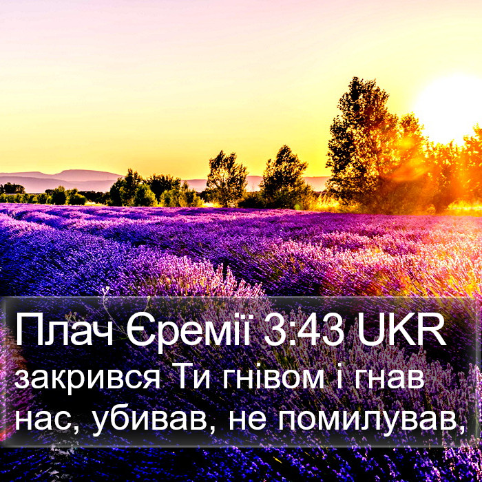 Плач Єремії 3:43 UKR Bible Study