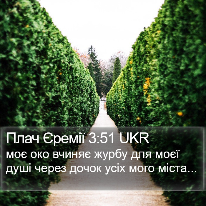 Плач Єремії 3:51 UKR Bible Study