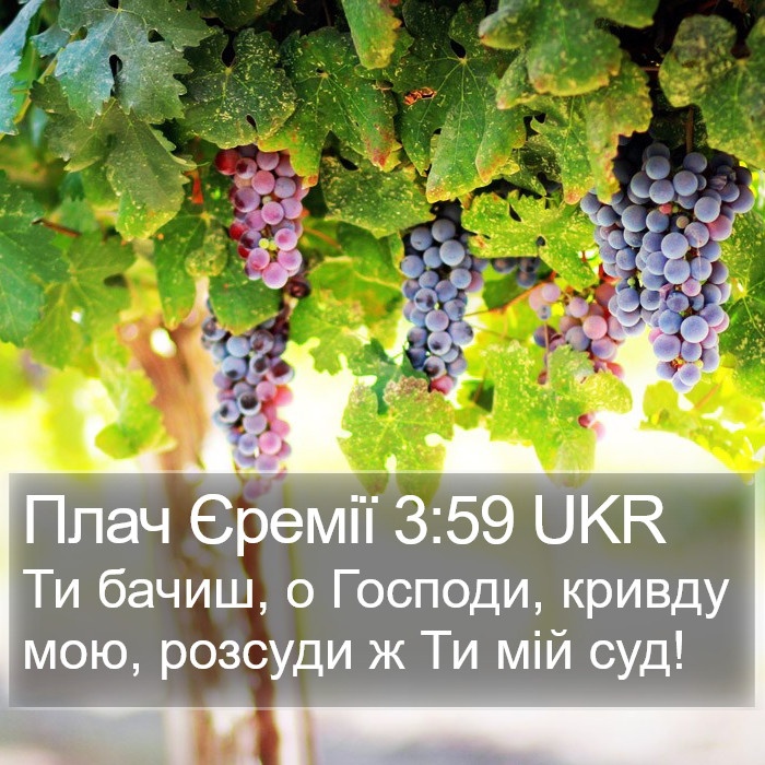 Плач Єремії 3:59 UKR Bible Study