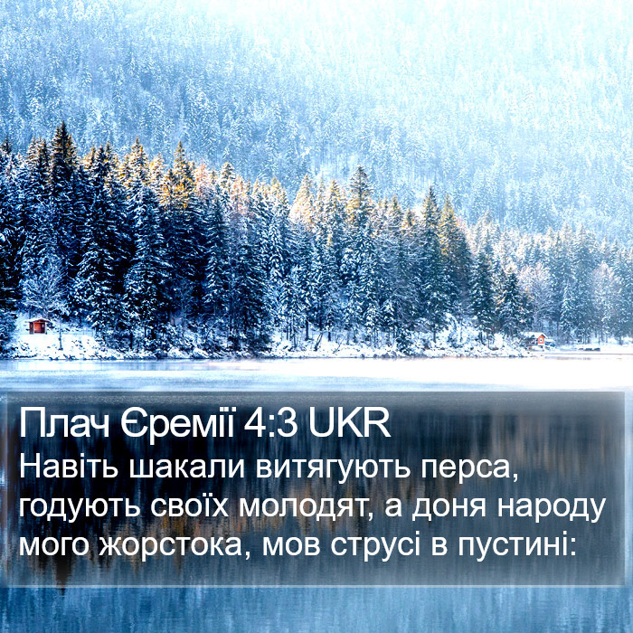 Плач Єремії 4:3 UKR Bible Study