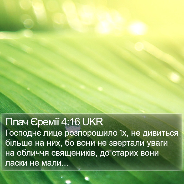 Плач Єремії 4:16 UKR Bible Study