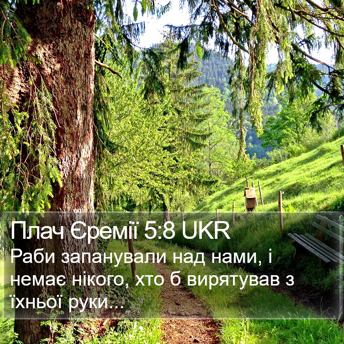 Плач Єремії 5:8 UKR Bible Study