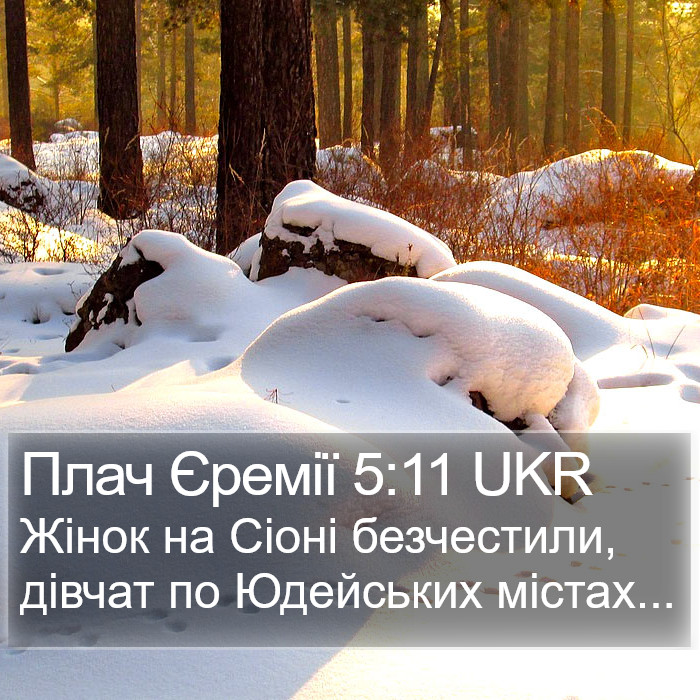 Плач Єремії 5:11 UKR Bible Study