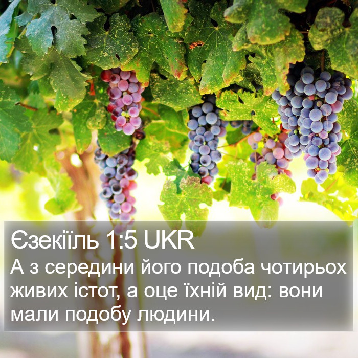 Єзекіїль 1:5 UKR Bible Study