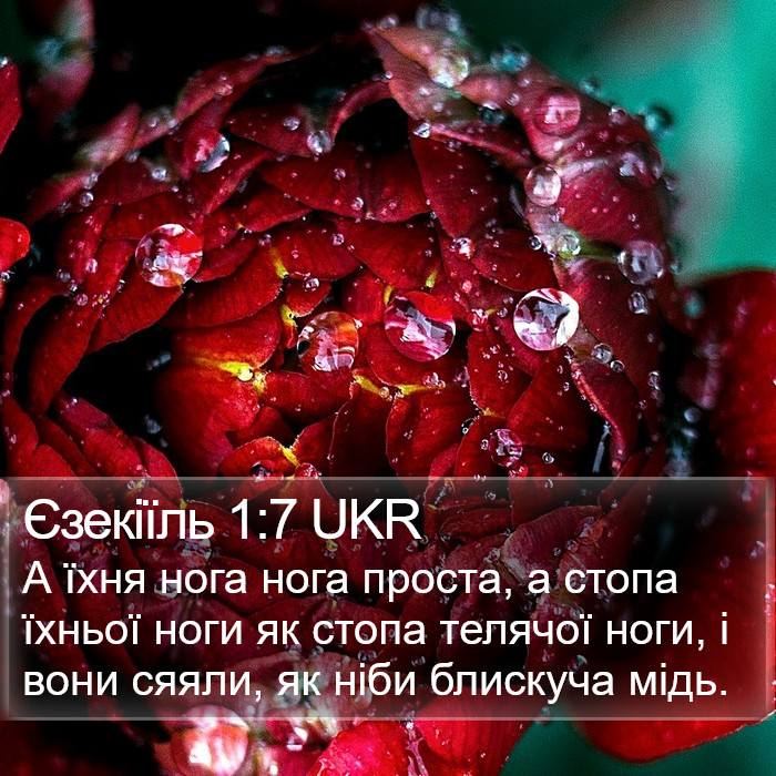 Єзекіїль 1:7 UKR Bible Study