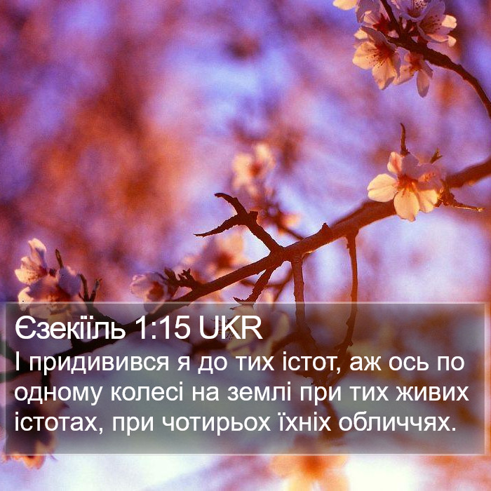 Єзекіїль 1:15 UKR Bible Study