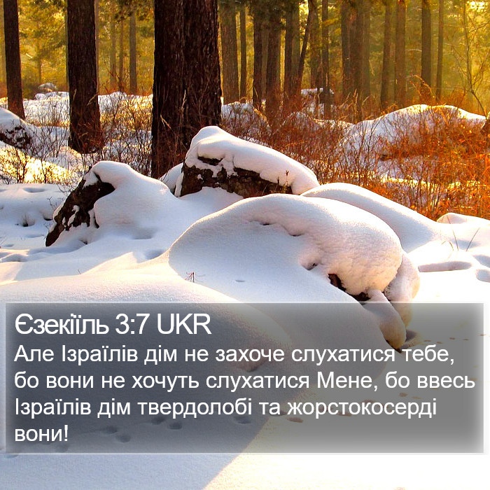 Єзекіїль 3:7 UKR Bible Study