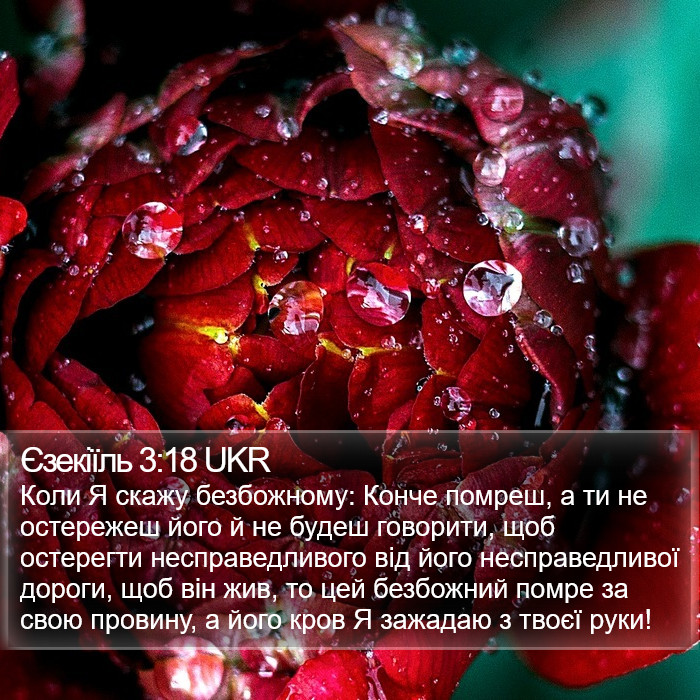 Єзекіїль 3:18 UKR Bible Study