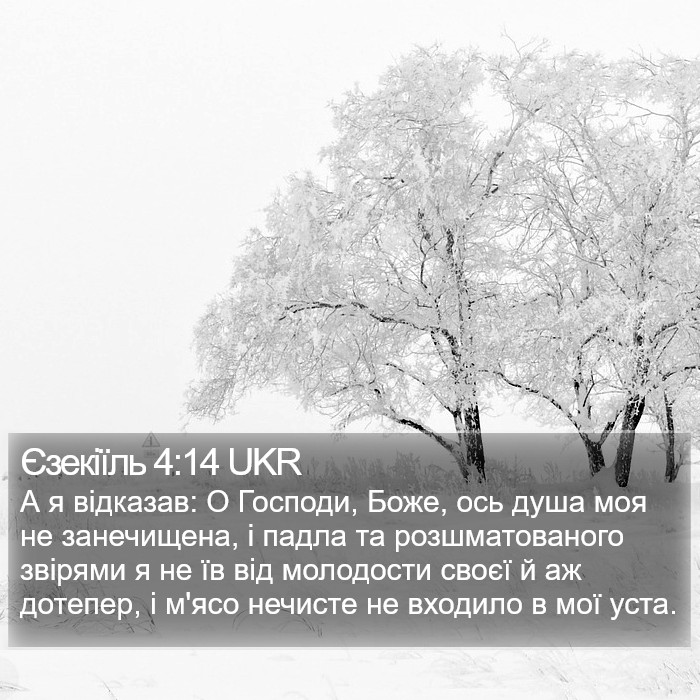 Єзекіїль 4:14 UKR Bible Study