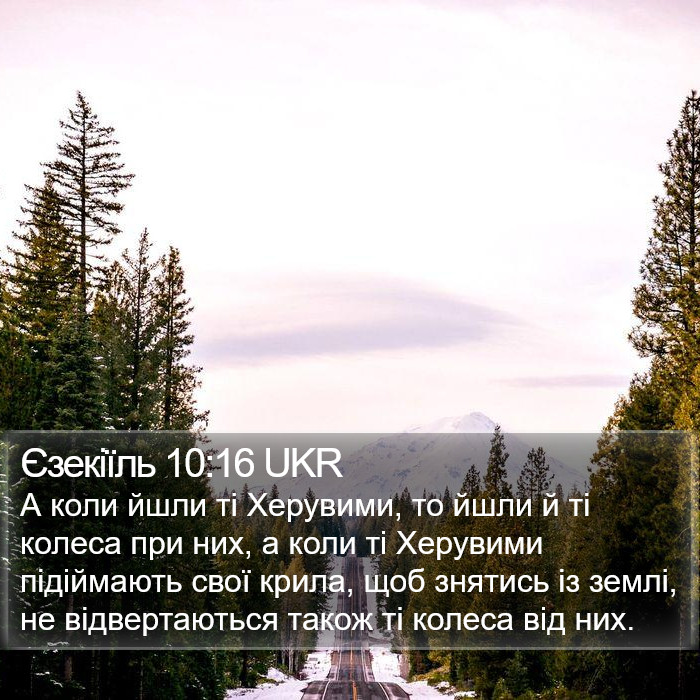 Єзекіїль 10:16 UKR Bible Study