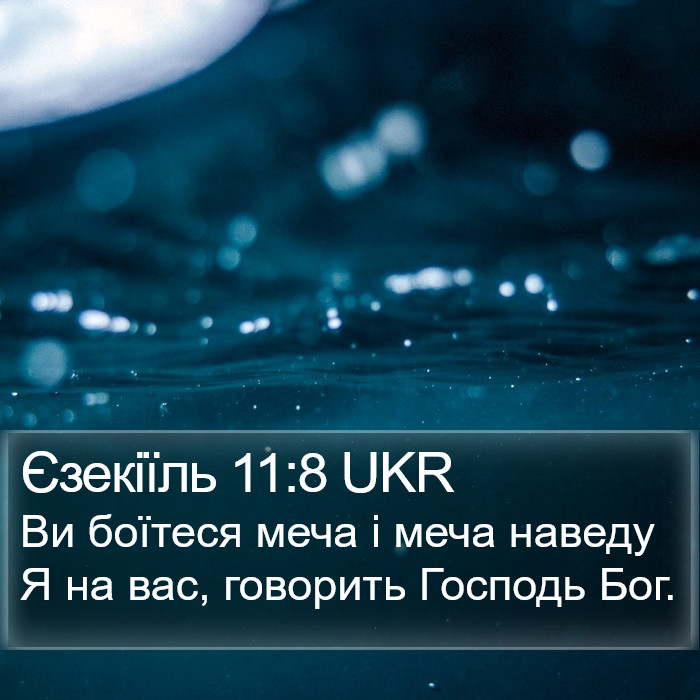 Єзекіїль 11:8 UKR Bible Study