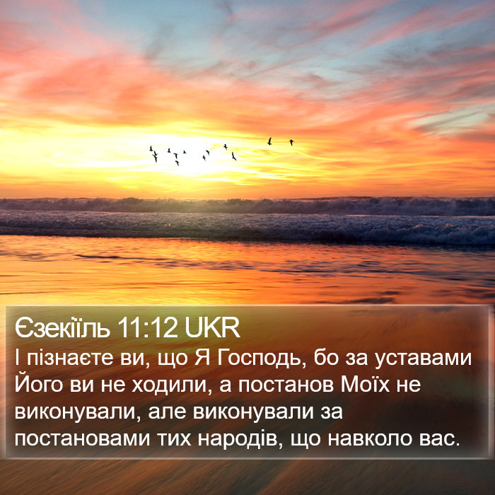 Єзекіїль 11:12 UKR Bible Study