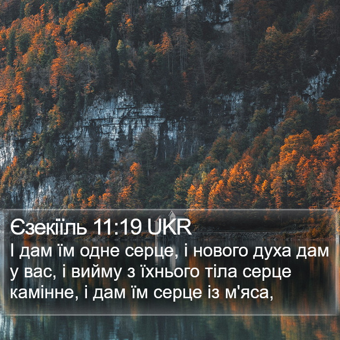 Єзекіїль 11:19 UKR Bible Study