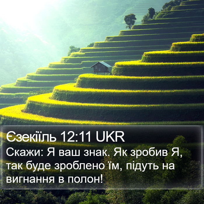 Єзекіїль 12:11 UKR Bible Study