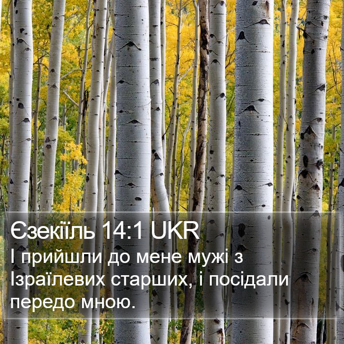 Єзекіїль 14:1 UKR Bible Study