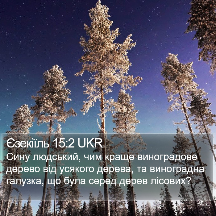 Єзекіїль 15:2 UKR Bible Study