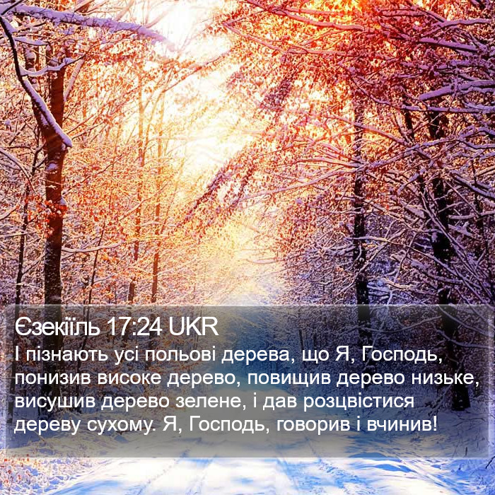 Єзекіїль 17:24 UKR Bible Study