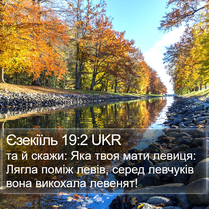 Єзекіїль 19:2 UKR Bible Study