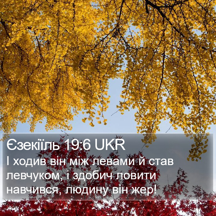 Єзекіїль 19:6 UKR Bible Study