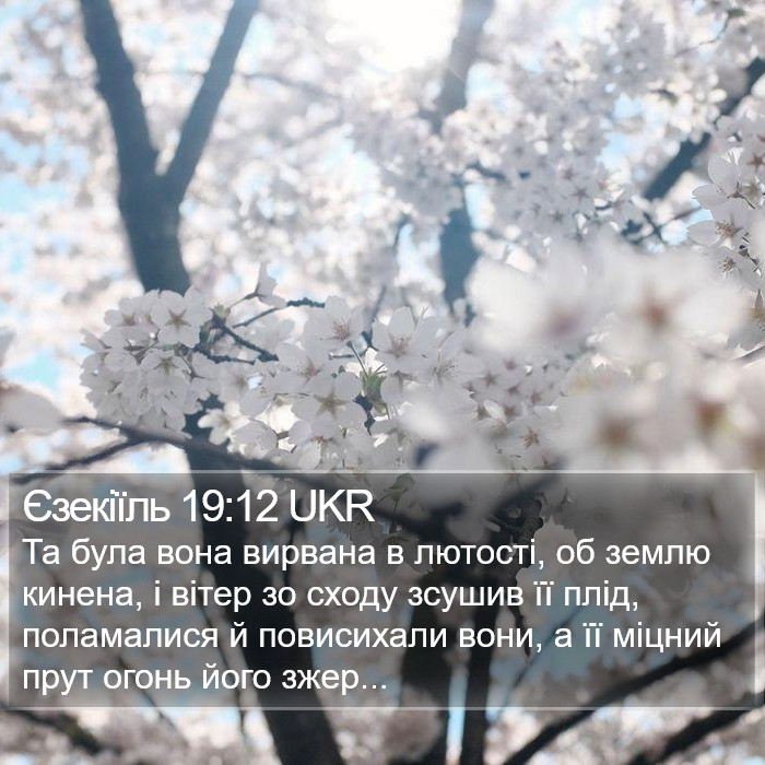 Єзекіїль 19:12 UKR Bible Study