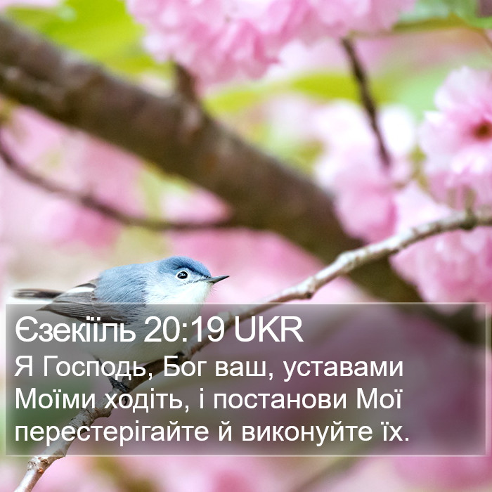 Єзекіїль 20:19 UKR Bible Study