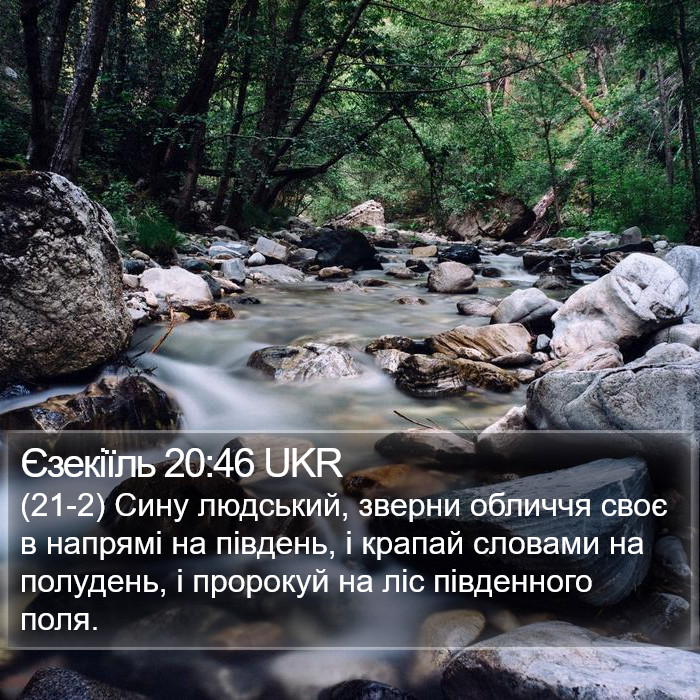 Єзекіїль 20:46 UKR Bible Study