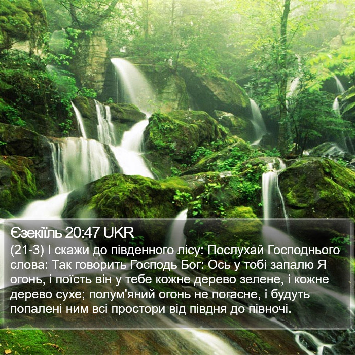 Єзекіїль 20:47 UKR Bible Study