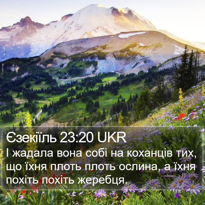 Єзекіїль 23:20 UKR Bible Study