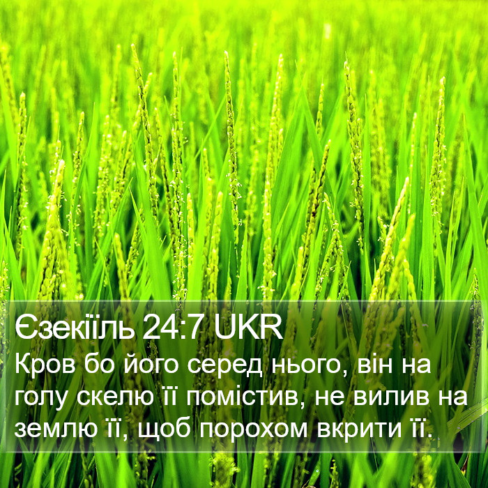 Єзекіїль 24:7 UKR Bible Study