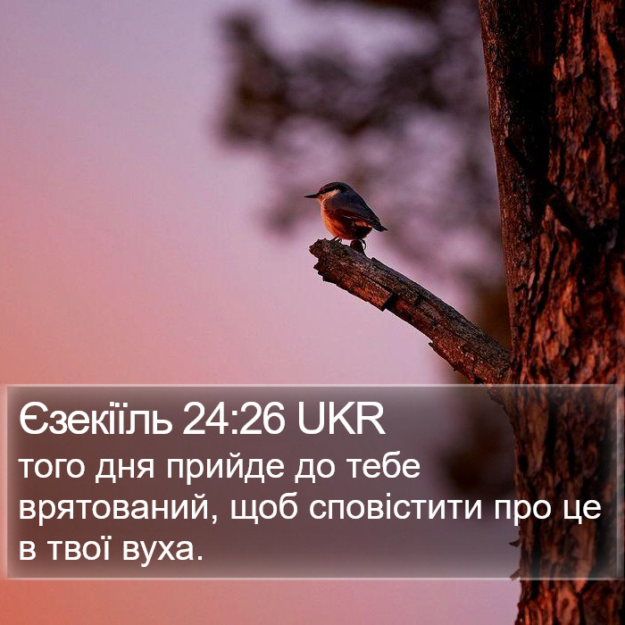 Єзекіїль 24:26 UKR Bible Study