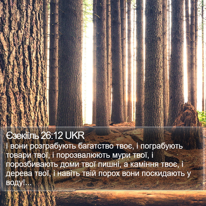 Єзекіїль 26:12 UKR Bible Study