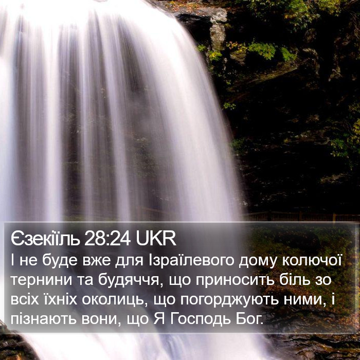 Єзекіїль 28:24 UKR Bible Study