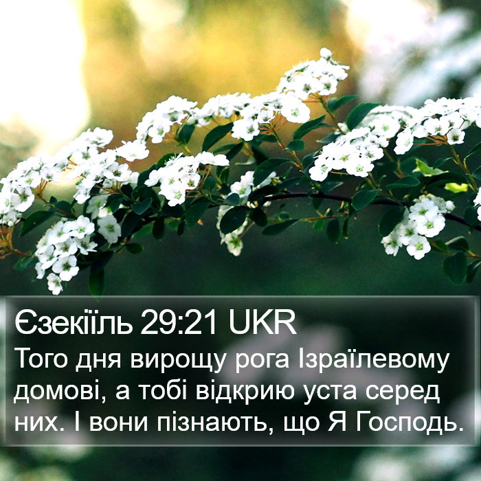 Єзекіїль 29:21 UKR Bible Study