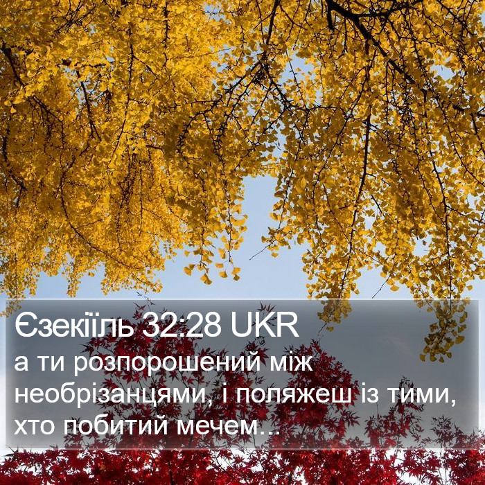 Єзекіїль 32:28 UKR Bible Study