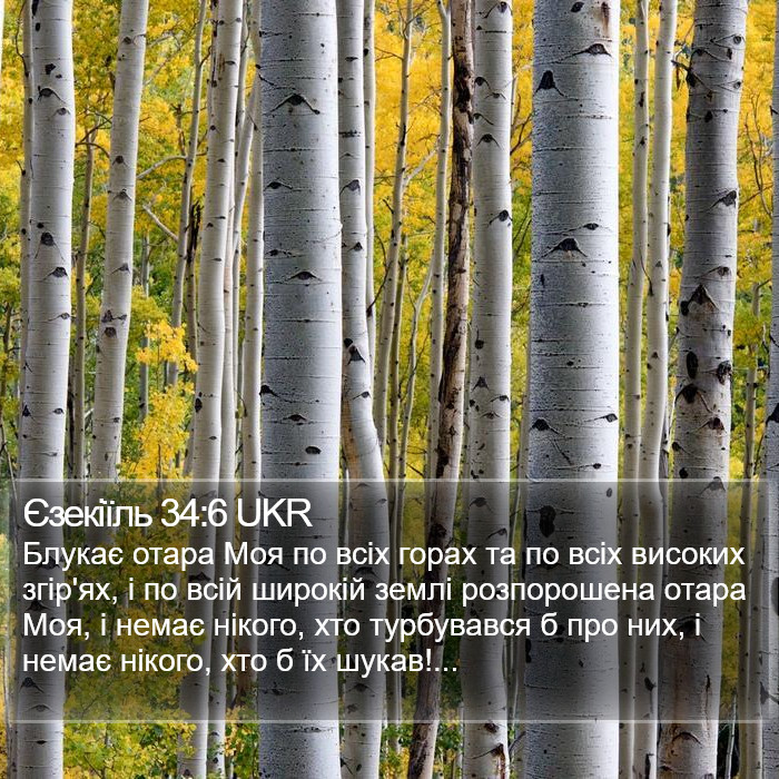 Єзекіїль 34:6 UKR Bible Study