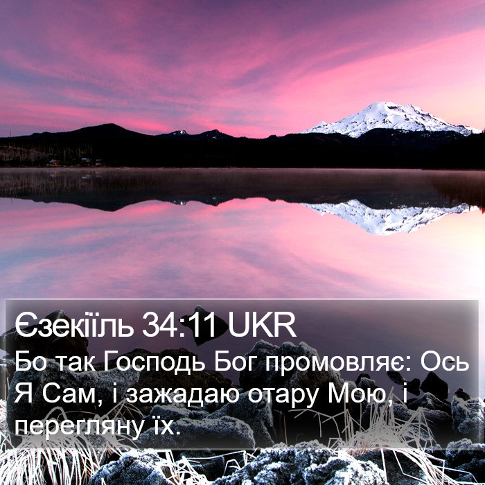 Єзекіїль 34:11 UKR Bible Study
